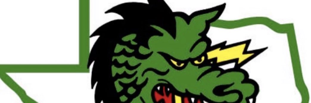 Dragon Basketball banner