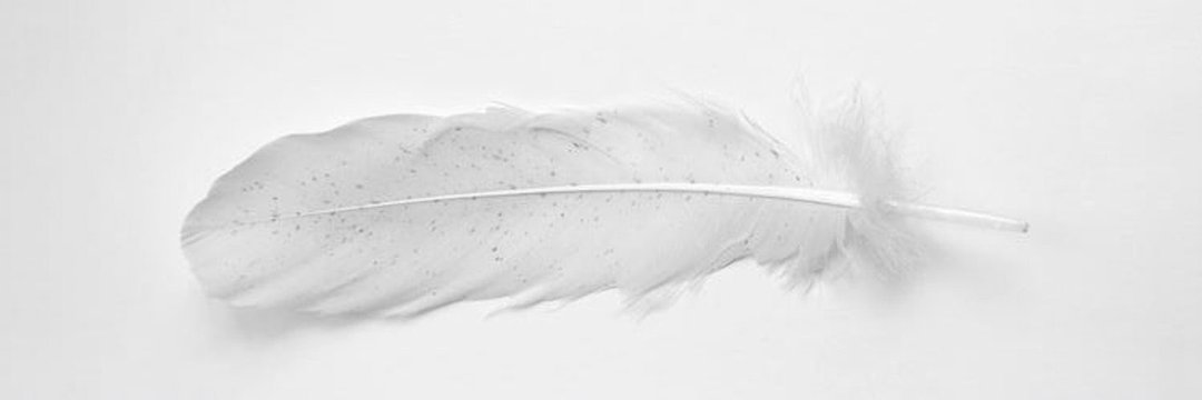 semaaksk's profile banner image