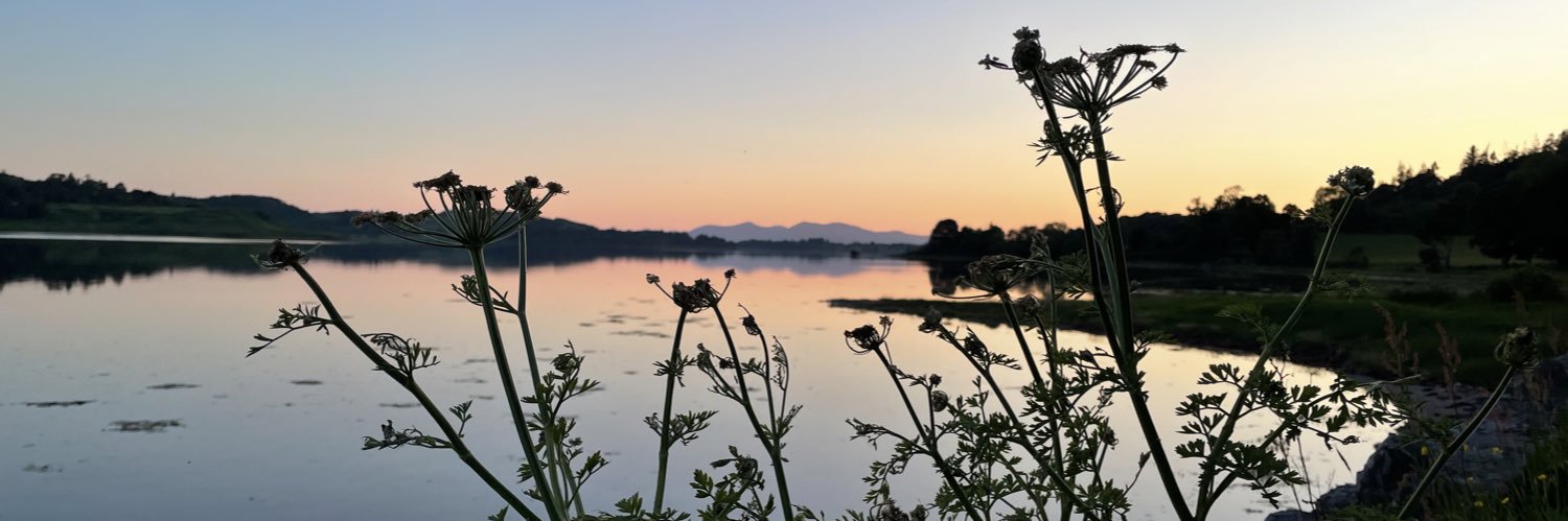 sianmgriffiths's profile banner image