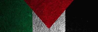 WhoDahBoi's profile banner image