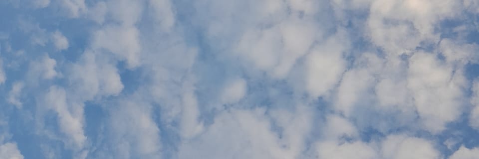 PonkyKnela's profile banner image