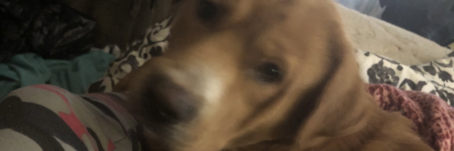 LynnAmyasher43's profile banner image
