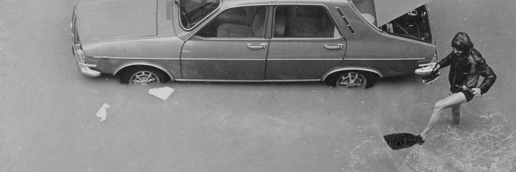 Silvia L. Mus banner