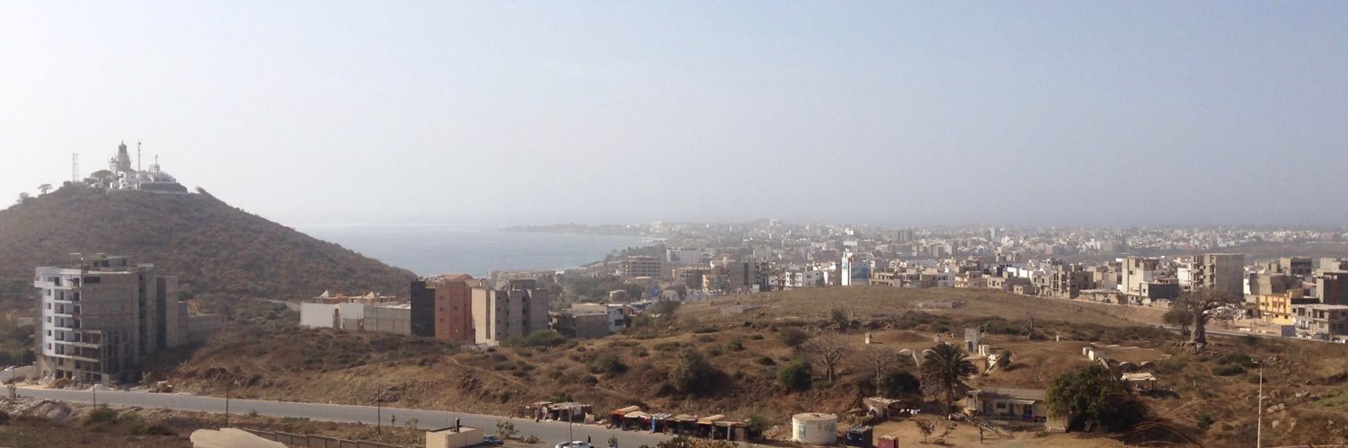 Nellie Peyton banner