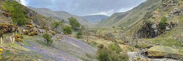 claireking1979 Profile Banner