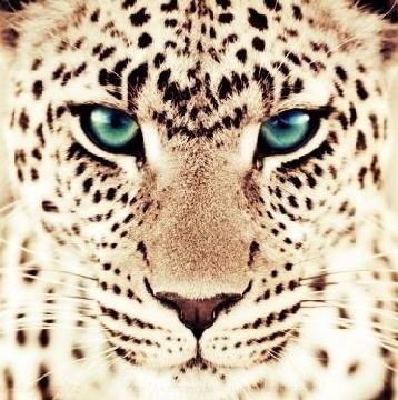 Anaahi_P's profile banner image