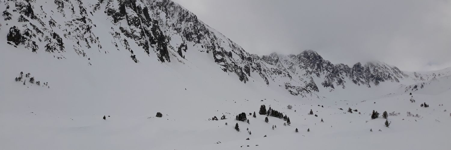 Viperinus's profile banner image