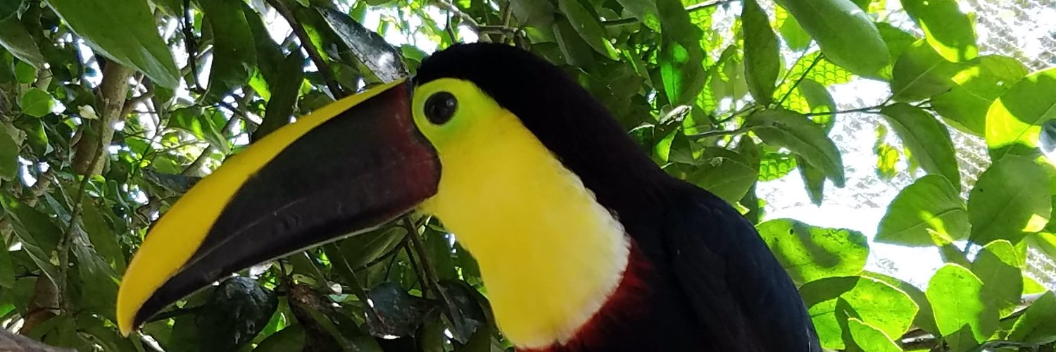 Marxbarx's profile banner image