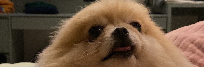 mareeanasz's profile banner image