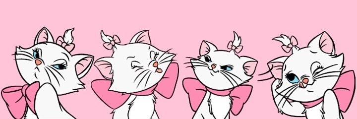 shaunaftbands's profile banner image