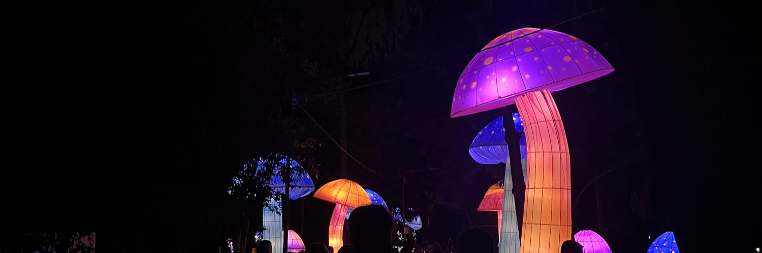 AndreAraujop's profile banner image