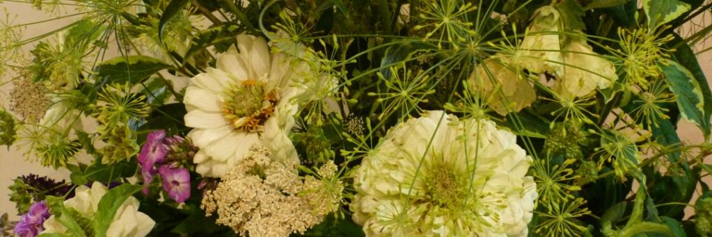 dillycotflowers's profile banner image