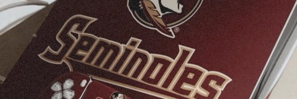 SeminoleDaDon Profile Banner
