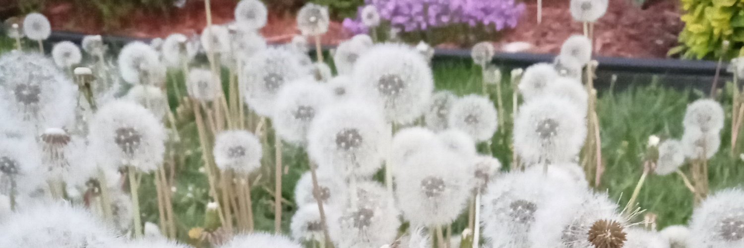 alarnold67's profile banner image