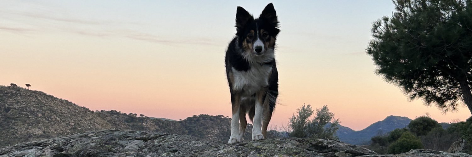 Borjadlf's profile banner image