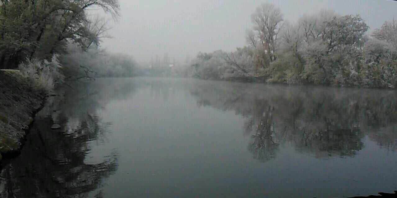 Jaime 🎒🕊💬 banner