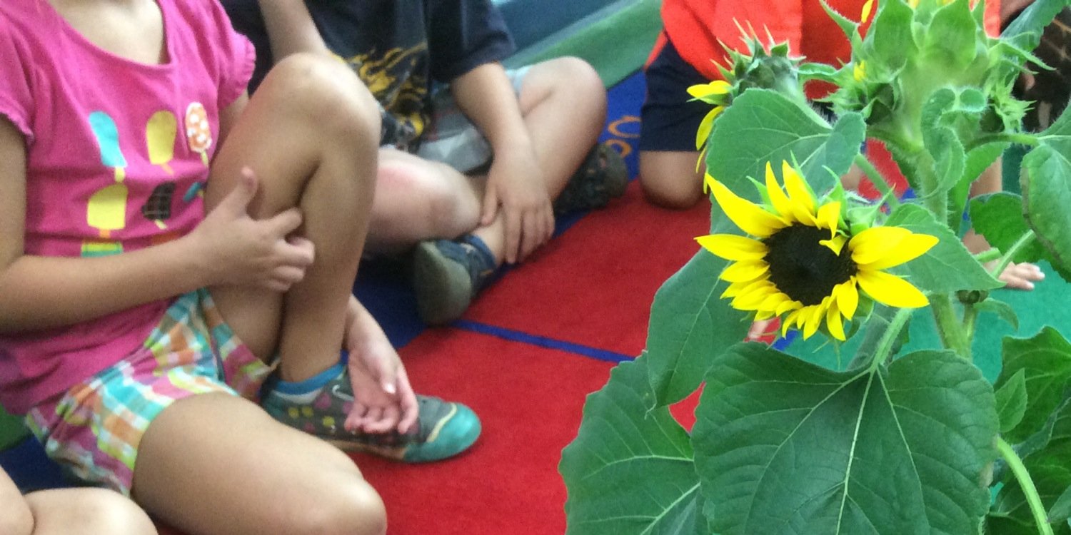 Kate Wintuska banner