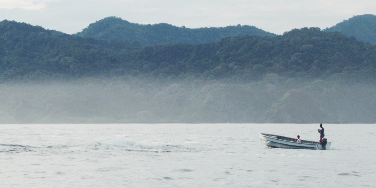 Pilar Franco Borrell banner