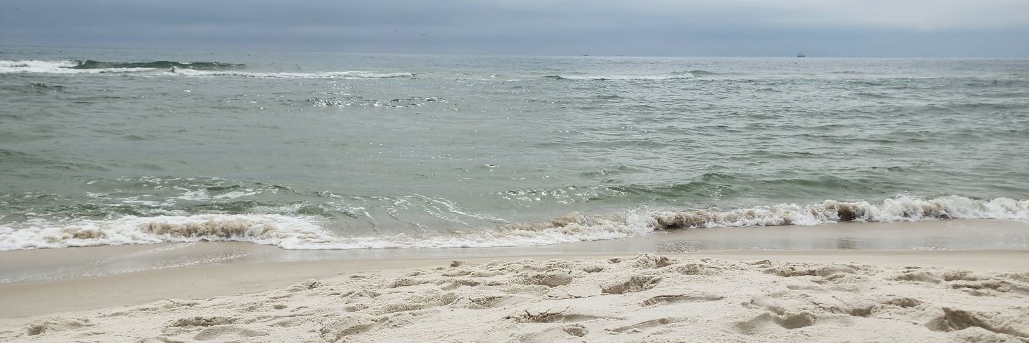 Sammuisme's profile banner image