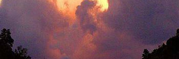 elsabehart Profile Banner