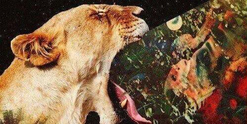 marvinwar's profile banner image