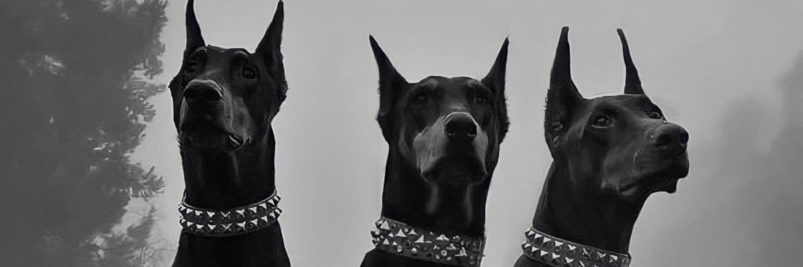 JakeHoppman's profile banner image