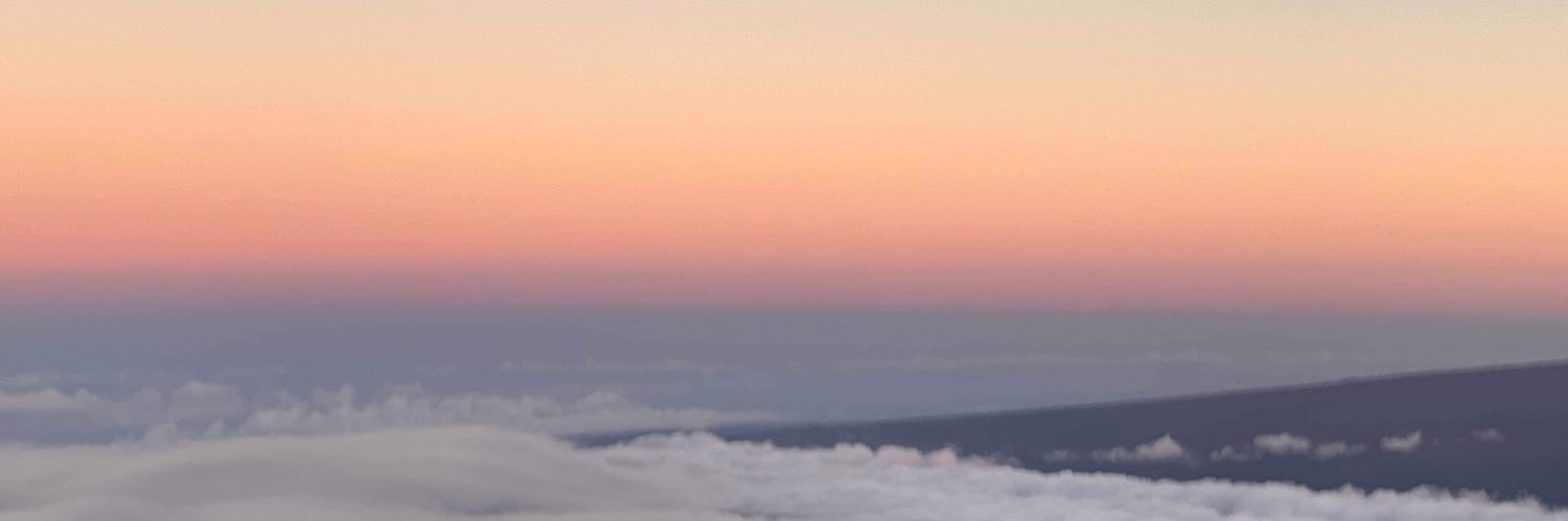 sofiafmp's profile banner image