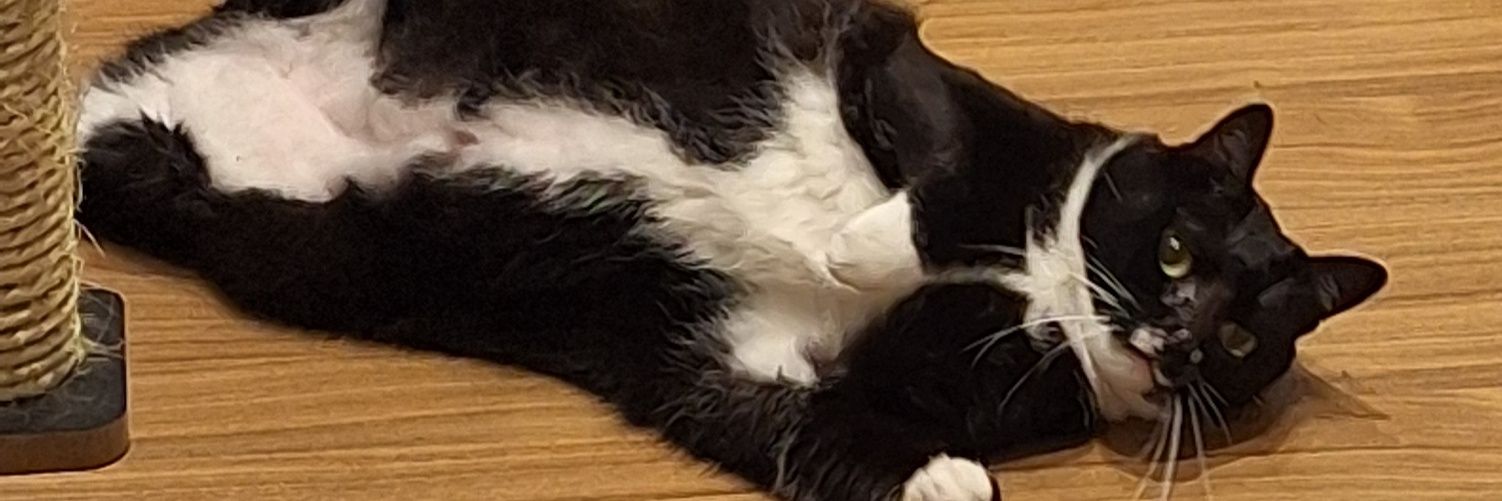 valenteeka's profile banner image