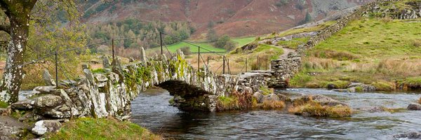 LemonZestful Profile Banner