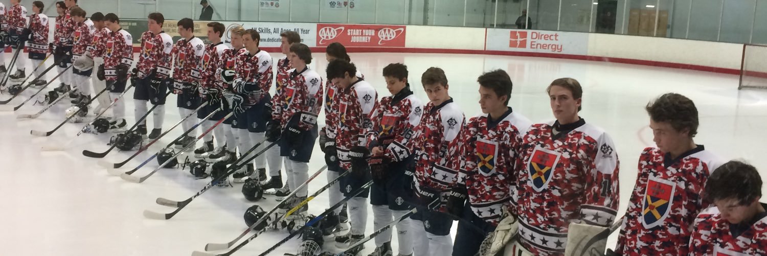 STA Puck banner
