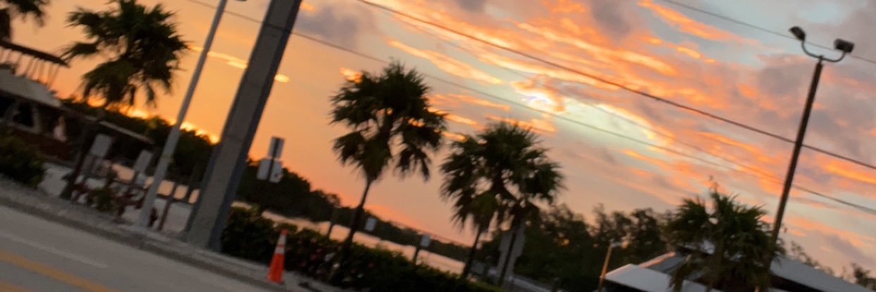 lilamaccc's profile banner image