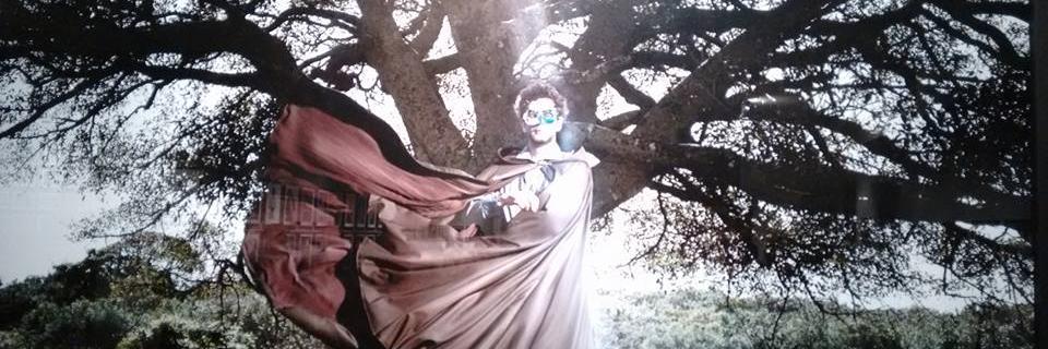 violetaalbini's profile banner image