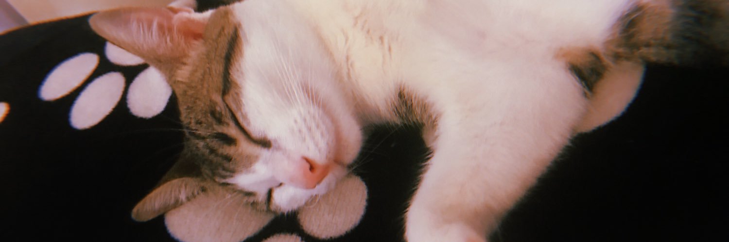 Maria Fabiola banner