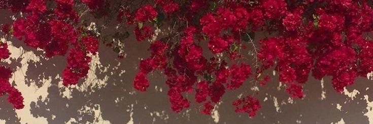 Bellabakerry's profile banner image