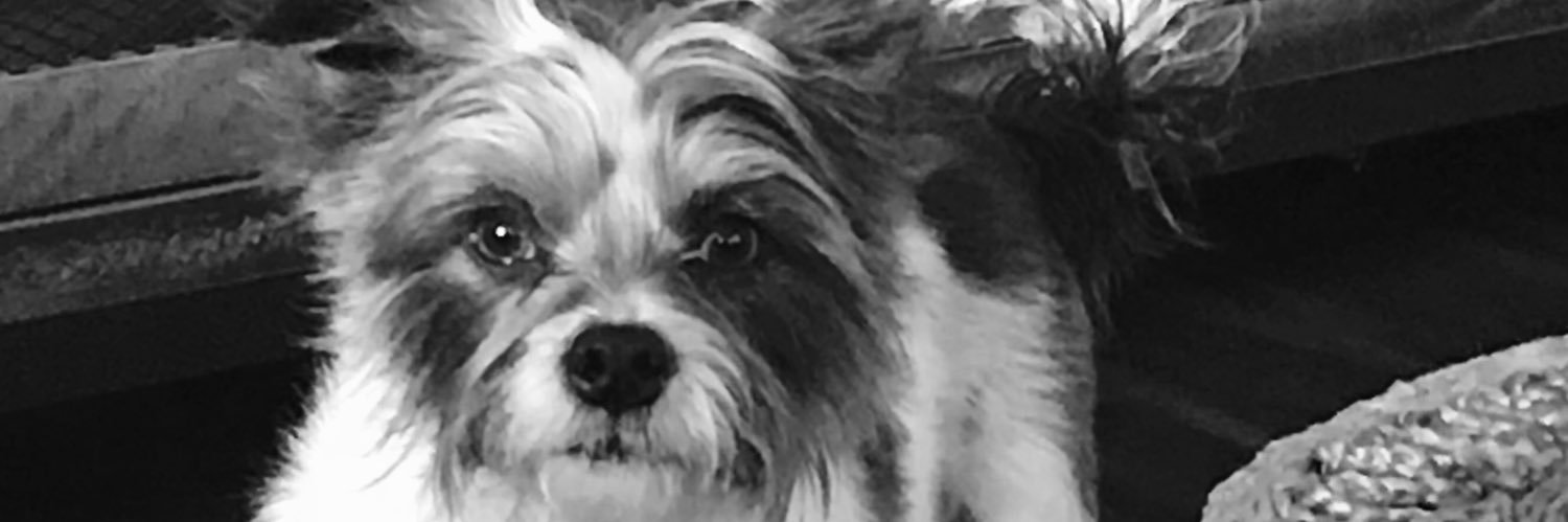 TriValleyPhoto's profile banner image
