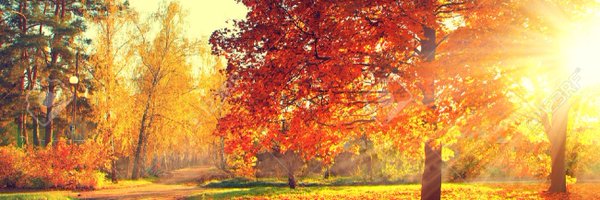 Prashant_Gokul's profile banner image