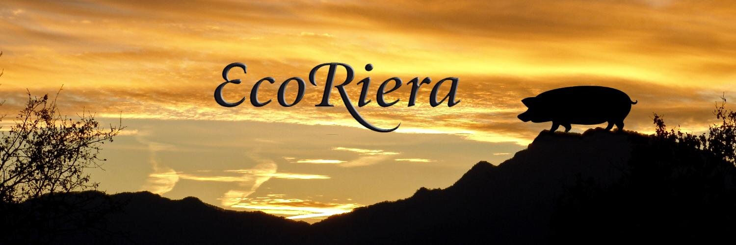 ecoriera's profile banner image