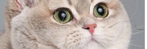 AlexConno's profile banner image