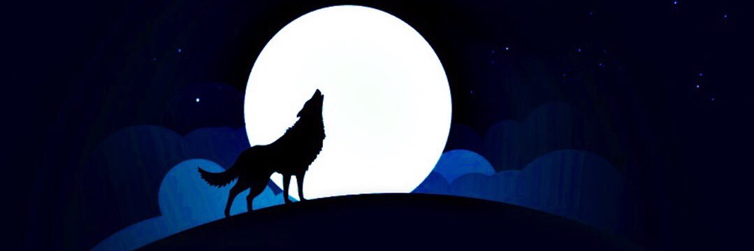 __Cheerish__'s profile banner image