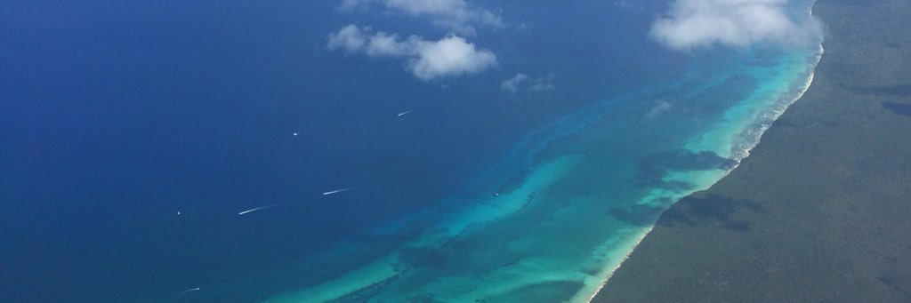macaciu's profile banner image