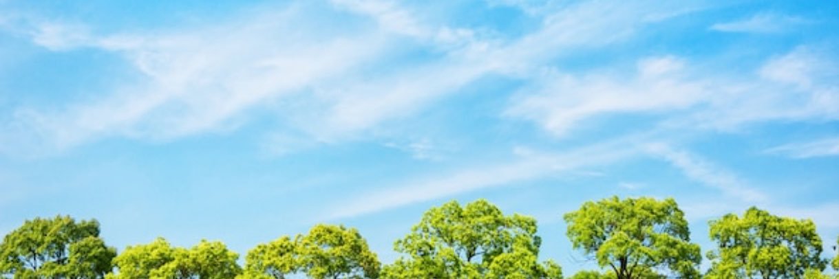SamWilsonBCBA's profile banner image