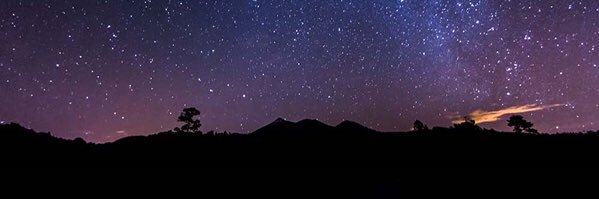 Danielle banner