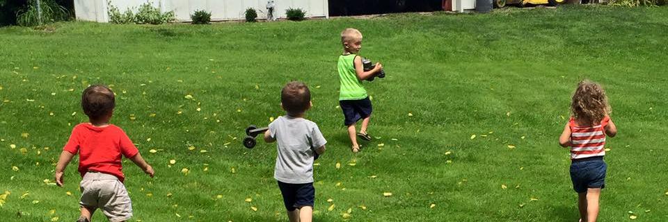 georgia quill banner