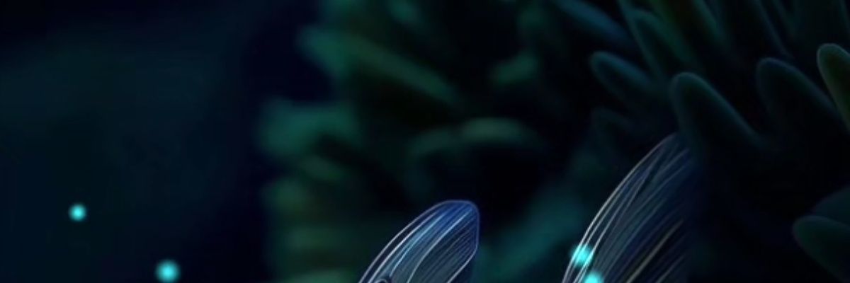 bbanss20's profile banner image
