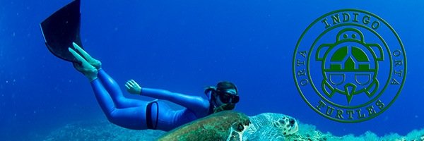 ortablu's profile banner image