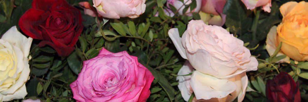 beautifulmanda's profile banner image