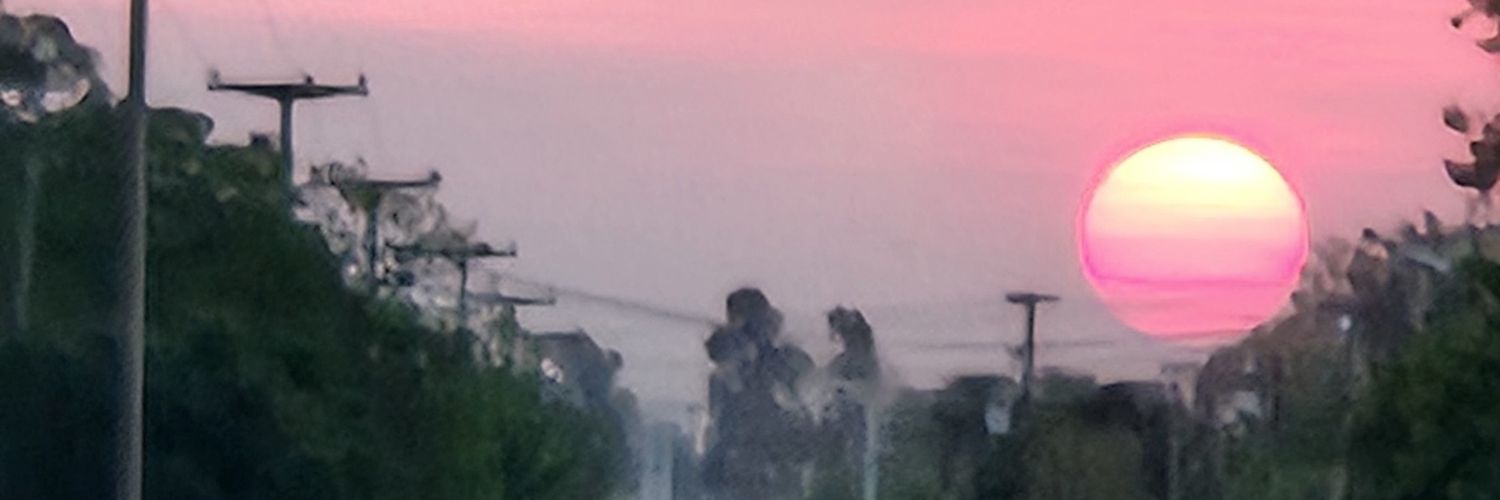 Diegoide banner