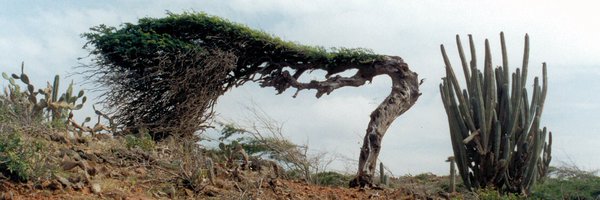 romejohnss Profile Banner