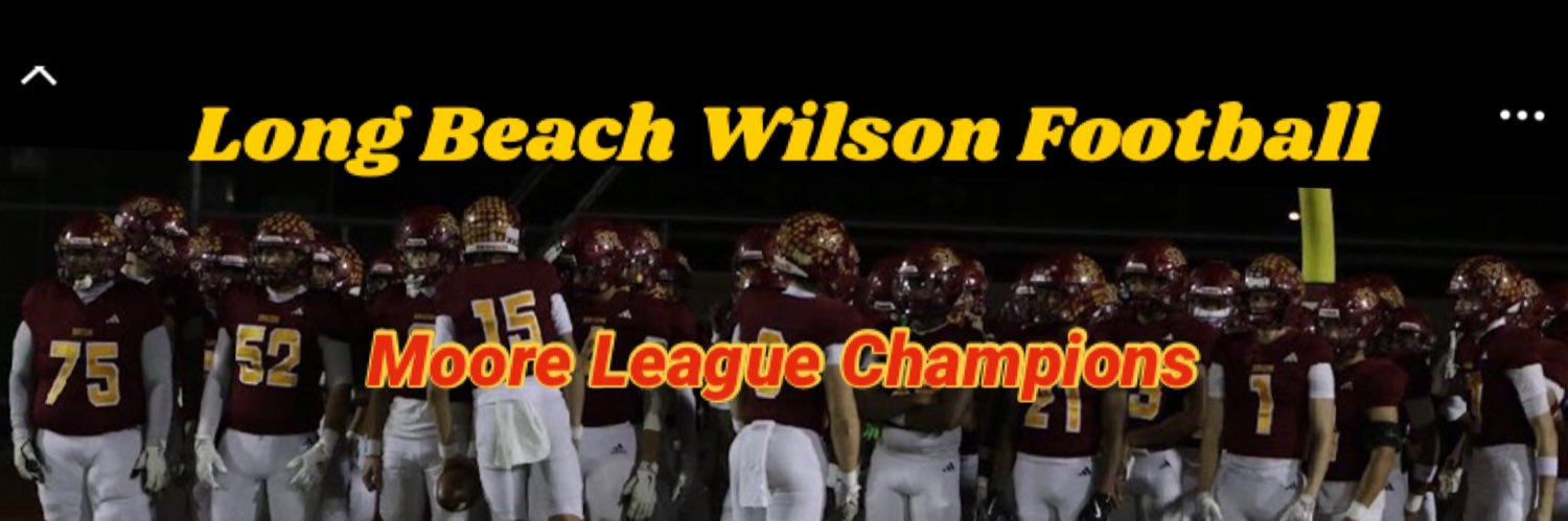 LB Wilson Football banner
