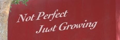 qinthemood's profile banner image